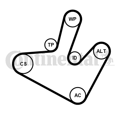 Contitech Poly V-riemen kit 5PK1515K1