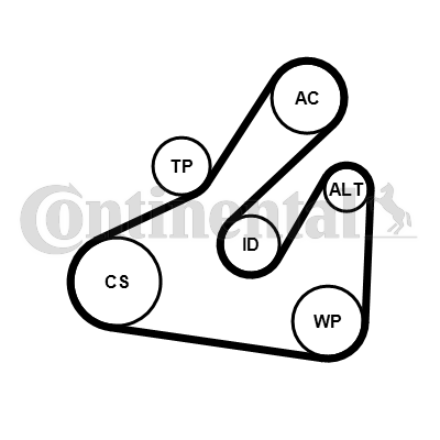Contitech Poly V-riemen kit inclusief waterpomp 5PK1745WP1