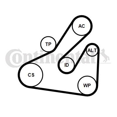 Contitech Poly V-riemen kit 5PK1745K1