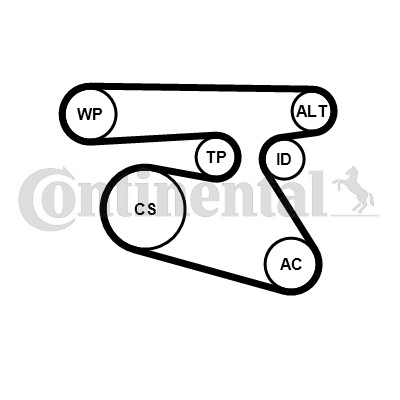 Contitech Poly V-riemen kit inclusief waterpomp 5PK1960WP1