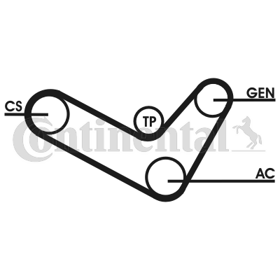Contitech Poly V-riemen kit 6PK1050D2