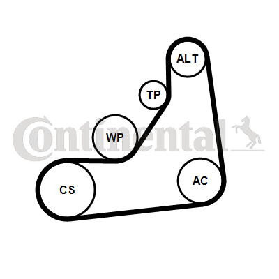 Contitech Poly V-riemen kit 6PK1153K5