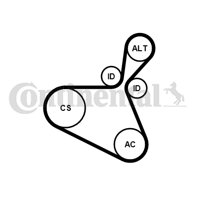 Contitech Poly V-riemen kit 6PK1179 EXTRA K1