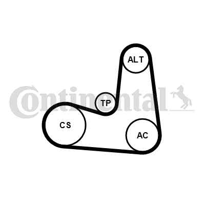 Contitech Poly V-riemen kit 6PK1180K5