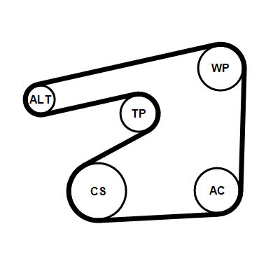 Contitech Poly V-riem set 6PK1555K5