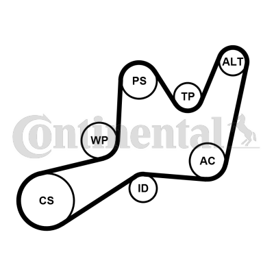 Contitech Poly V-riemen kit 6PK1605K1