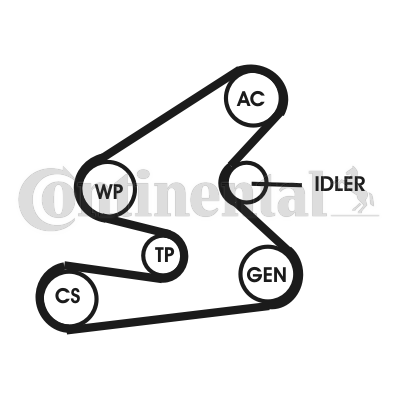 Contitech Poly V-riemen kit 6PK1623D1