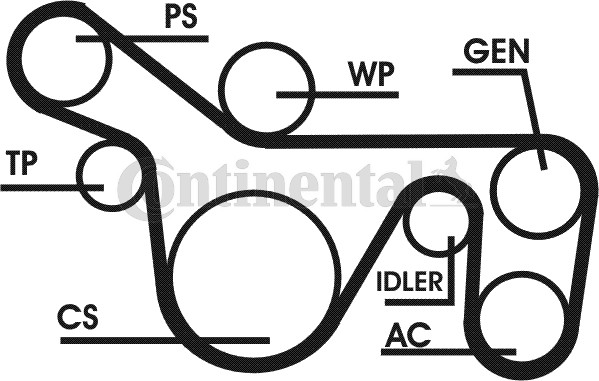 Contitech Poly V-riemen kit 6PK1720D1