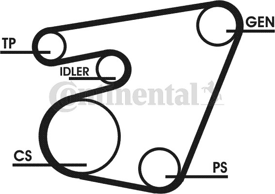 Contitech Poly V-riemen kit 6PK1767D1