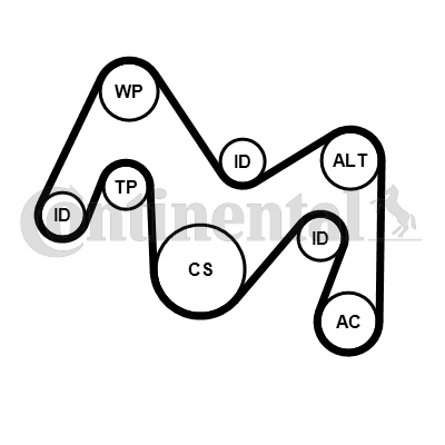 Contitech Poly V-riemen kit inclusief waterpomp 6PK1934WP1