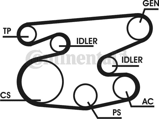 Contitech Poly V-riemen kit 6PK2236D1