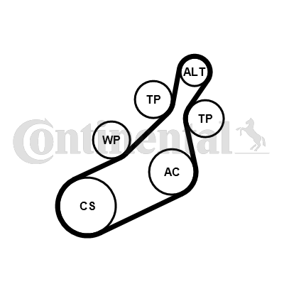 Contitech Poly V-riemen kit 8PK1122 EXTRA K1