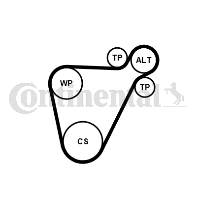 Contitech Poly V-riemen kit 8PK954 EXTRA K1