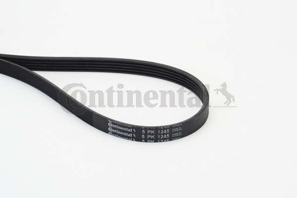 Poly V-riem Contitech 5PK1245