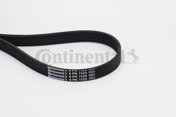 Poly V-riem Contitech 6PK1125