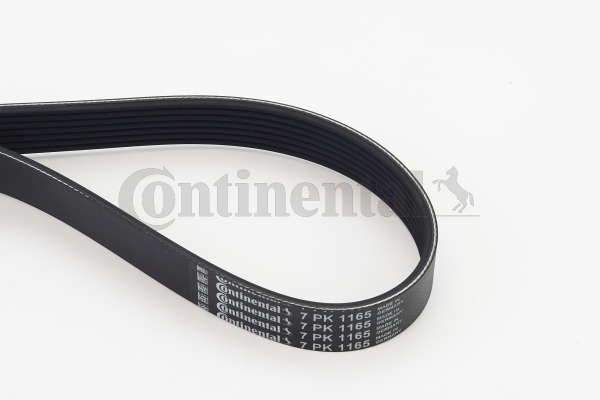 Poly V-riem Contitech 7PK1165