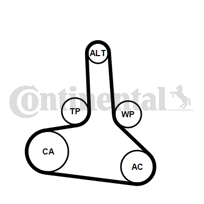 Contitech Distributieriem CT1245
