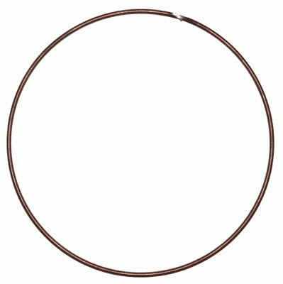 Frictieplaat Sachs 3018 085 000