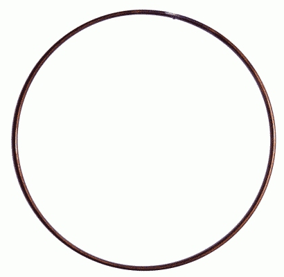 Frictieplaat Sachs 3018 091 000