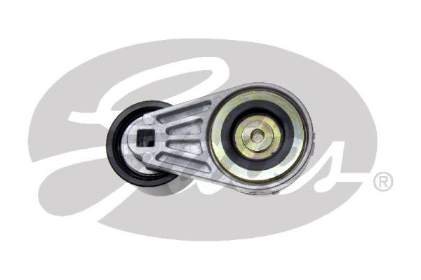 Gates Spanner poly V-riem T38519