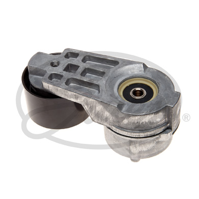 Gates Spanner poly V-riem T38590