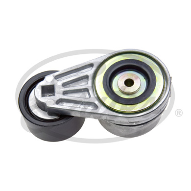 Gates Spanner poly V-riem T38591