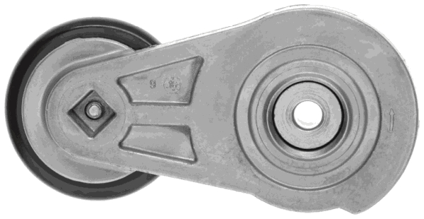 Gates Spanner poly V-riem T39350