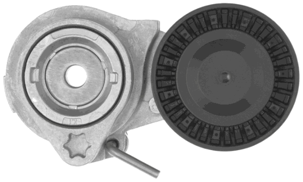 Gates Spanner poly V-riem T39404