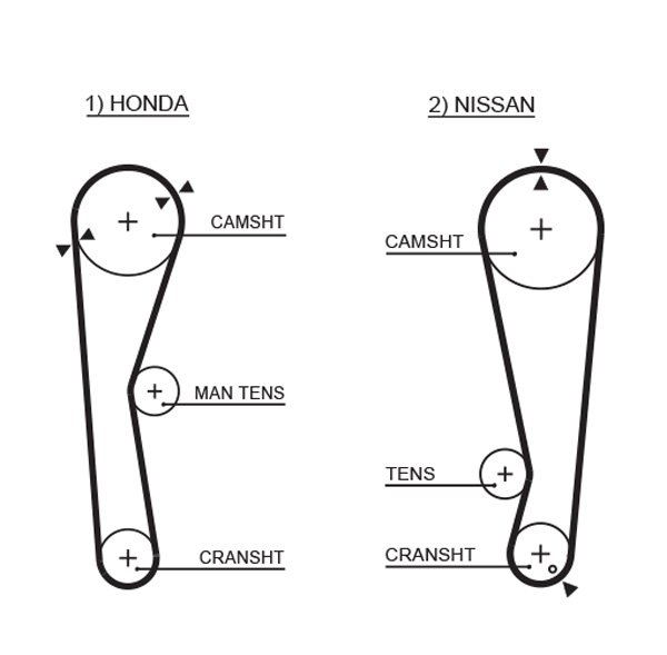 Distributieriem Gates 5028