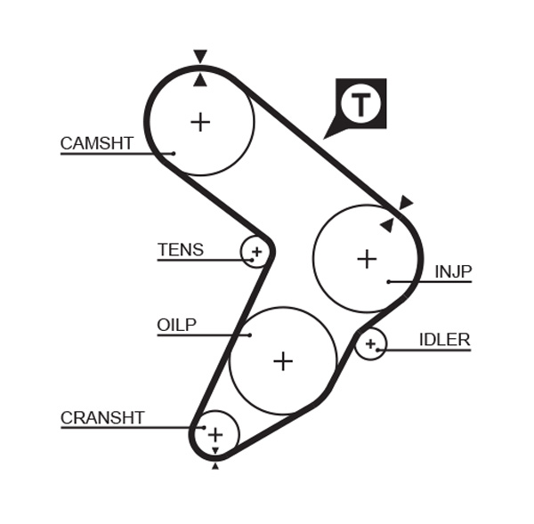 Distributieriem Gates 5032