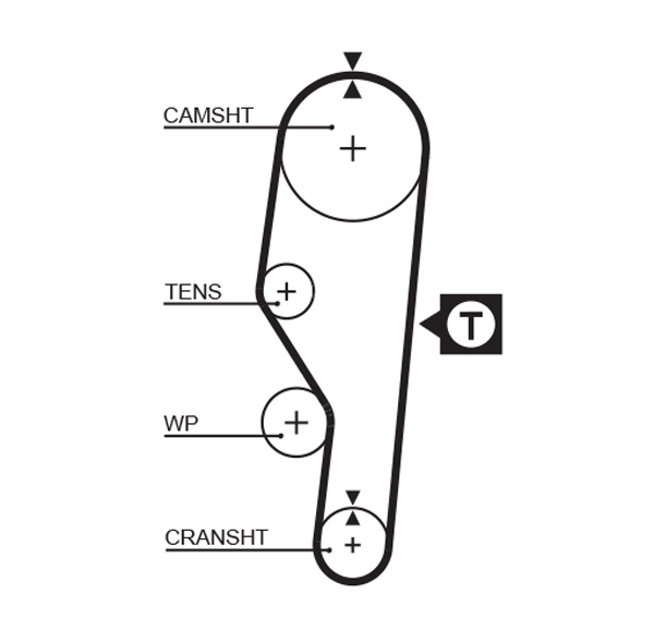 Distributieriem Gates 5063