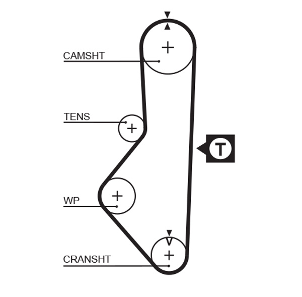 Distributieriem Gates 5076