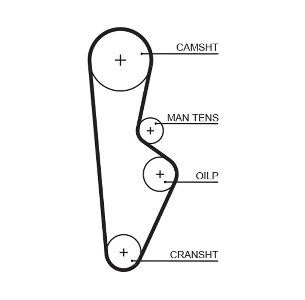 Gates Distributieriem kit K015082XS