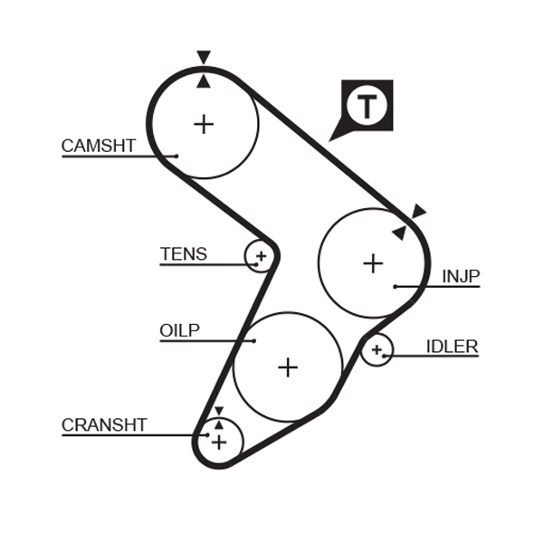 Distributieriem Gates 5087