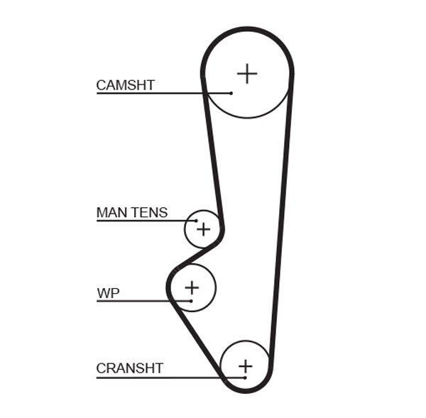 Distributieriem Gates 5097