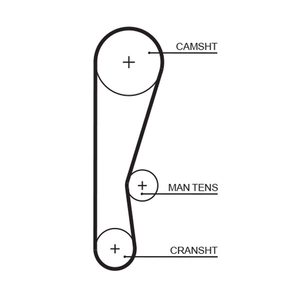 Distributieriem Gates 5119