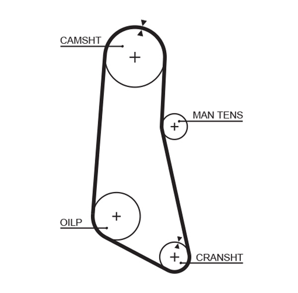 Distributieriem Gates 5185