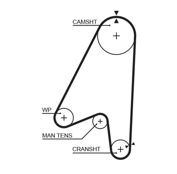 Distributieriem Gates 5239