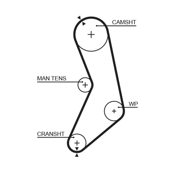 Distributieriem Gates 5288