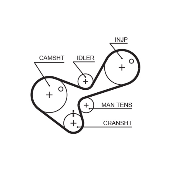 Distributieriem Gates 5306