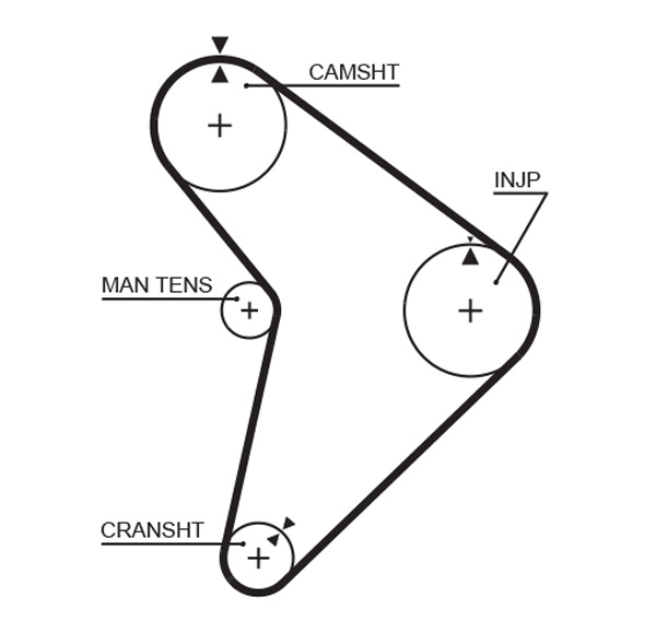 Distributieriem Gates 5307