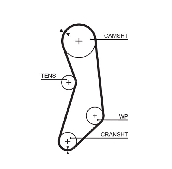 Gates Distributieriem kit K015319