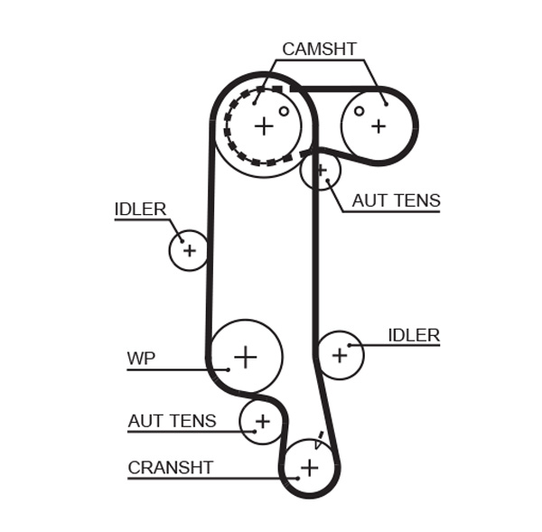 Gates Distributieriem kit inclusief waterpomp KP25565XS-1