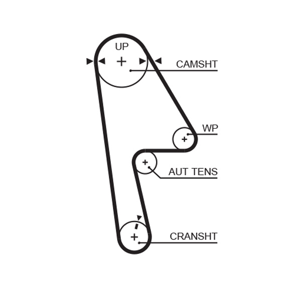 Distributieriem Gates 5593XS