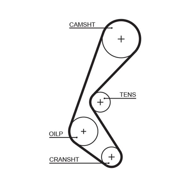 Distributieriem Gates 5628XS