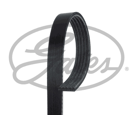 Gates Poly V-riem 5PK768