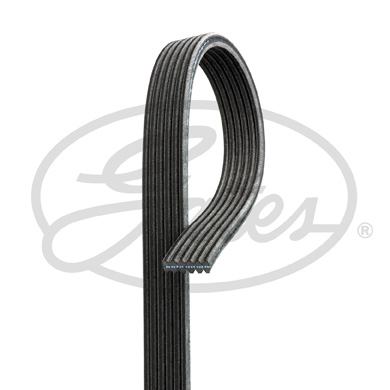 Gates Poly V-riem 6DPK2065