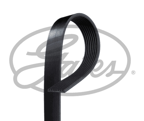 Gates Poly V-riem 8PK2465