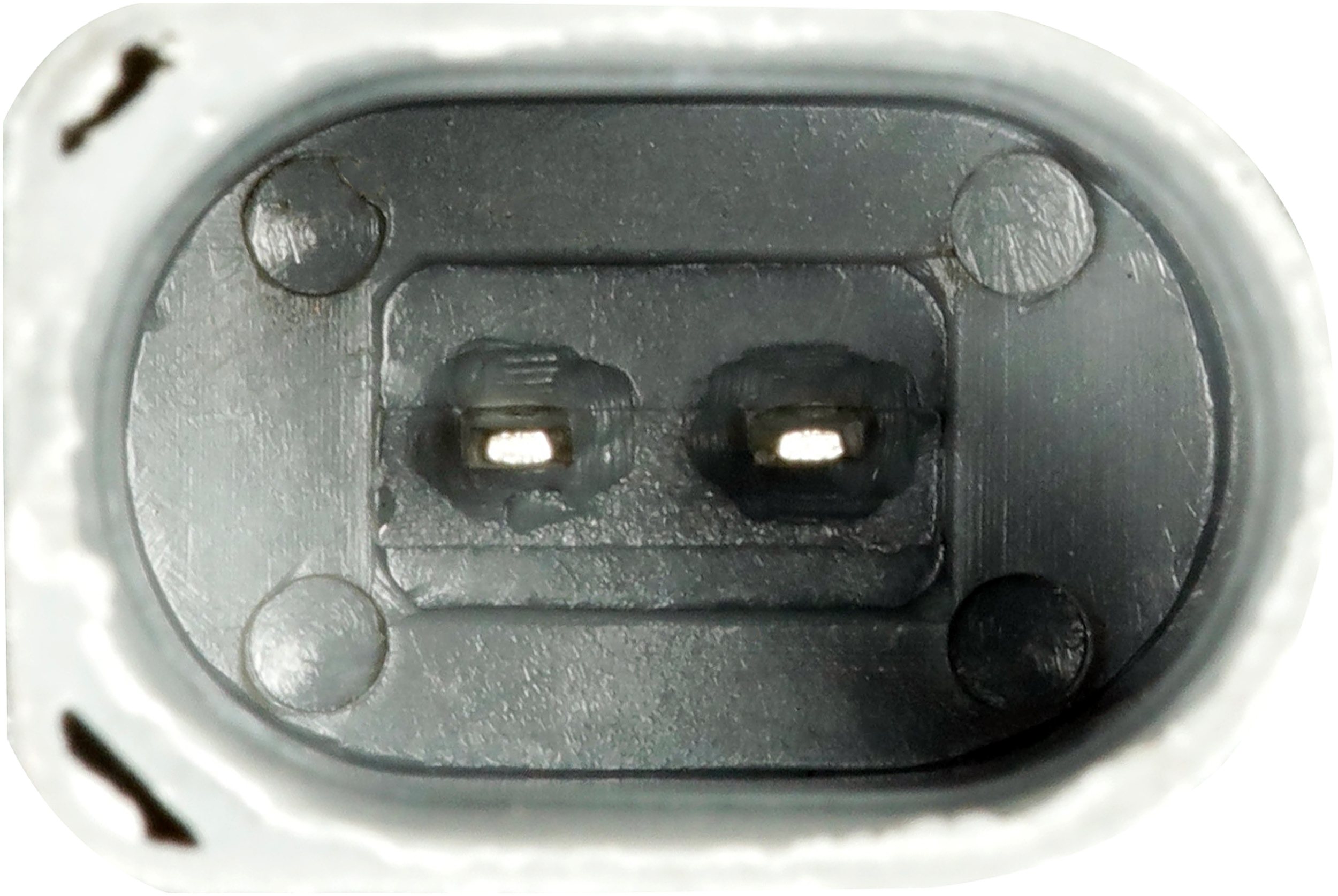 Gates Distributieriem kit inclusief waterpomp KP1TH15698XS-1