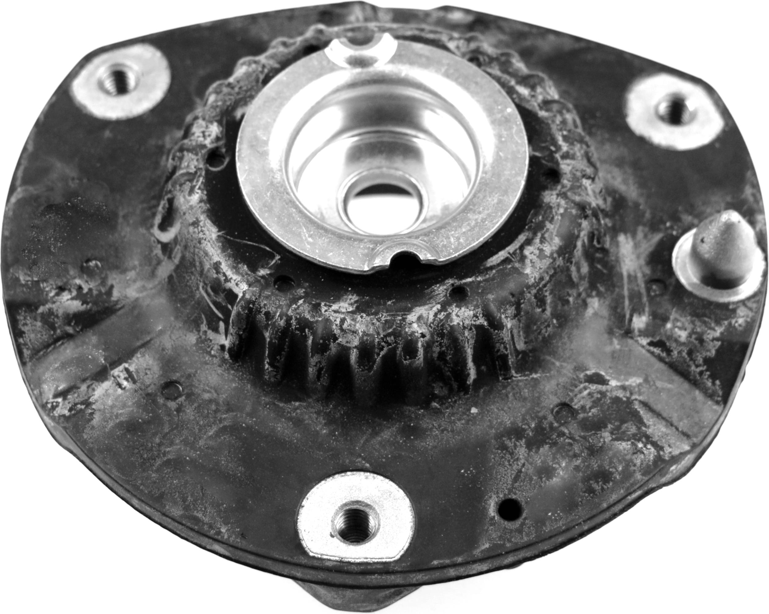 Veerpoot Gates SUS1373